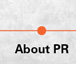 Portfolio link